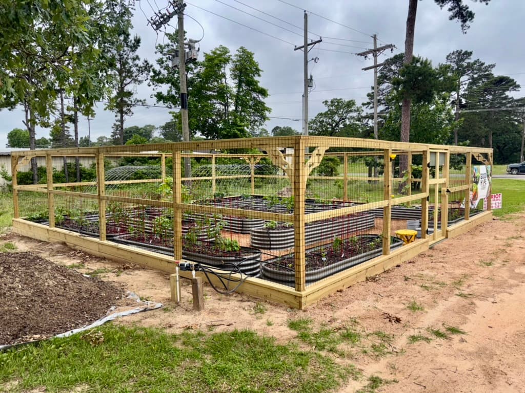 Fenced-in garden area with multiple corrugated metal raised beds and young plants growing inside.